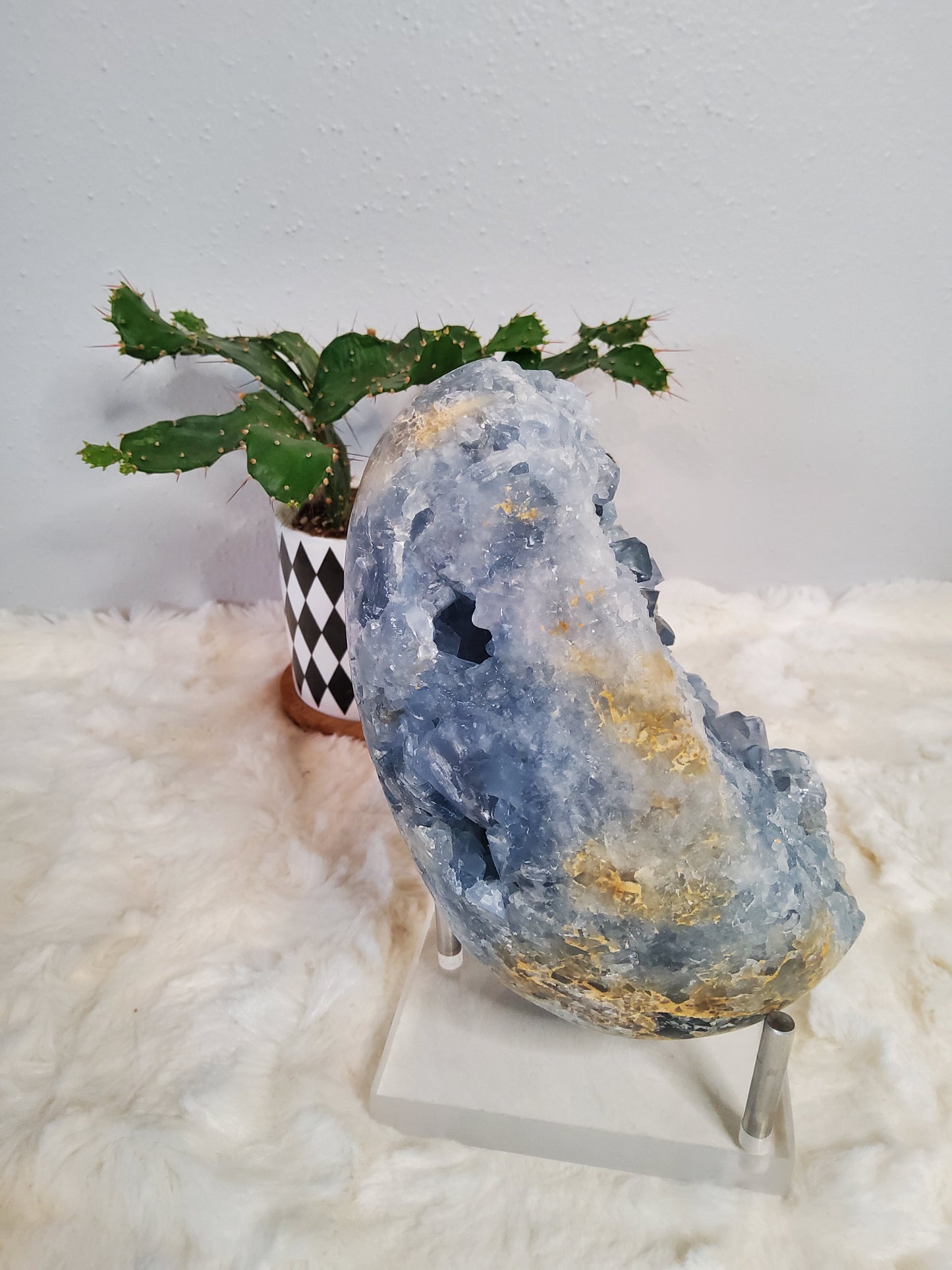 Large Blue Celestite geode