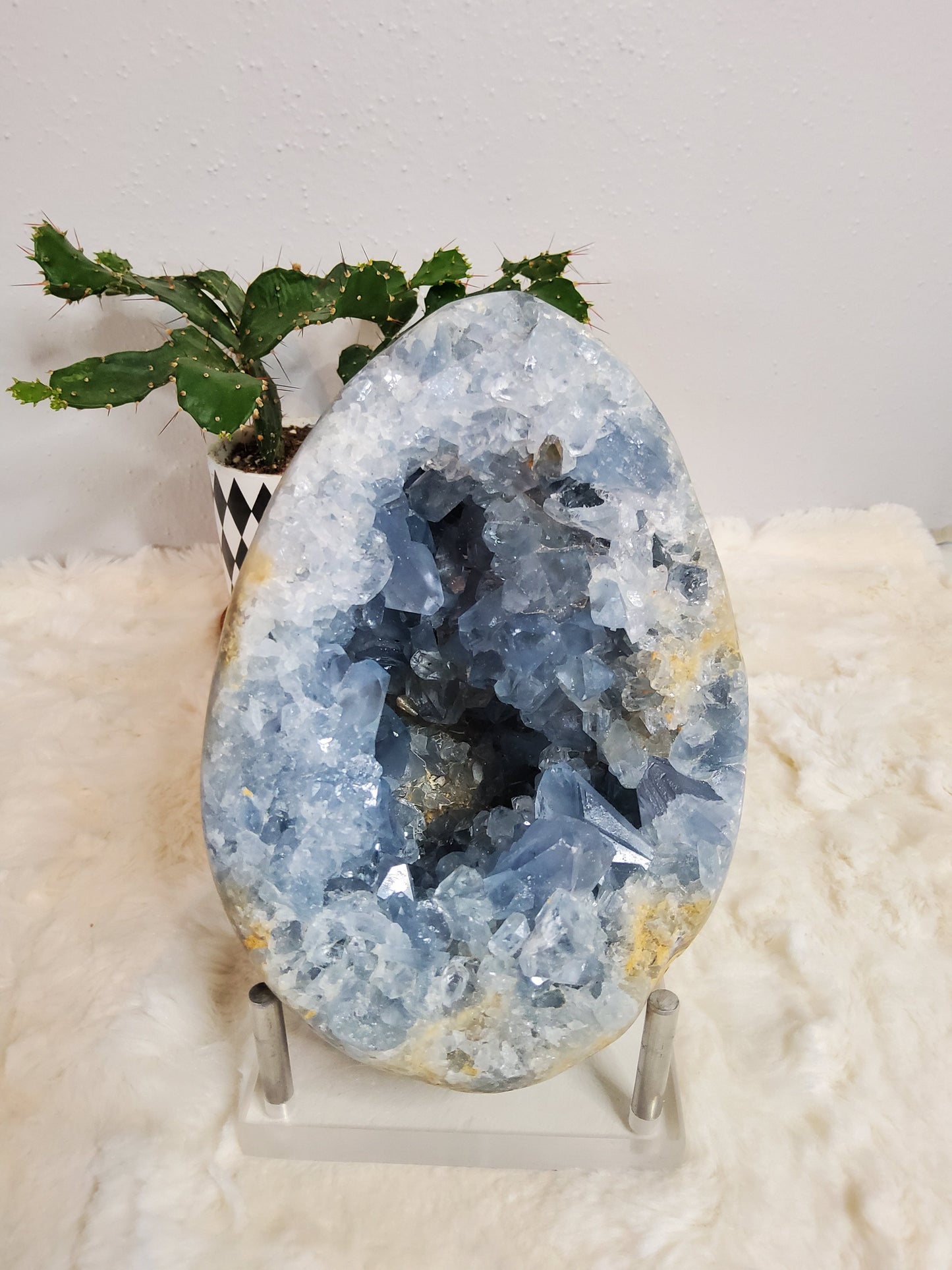 Large Blue Celestite geode