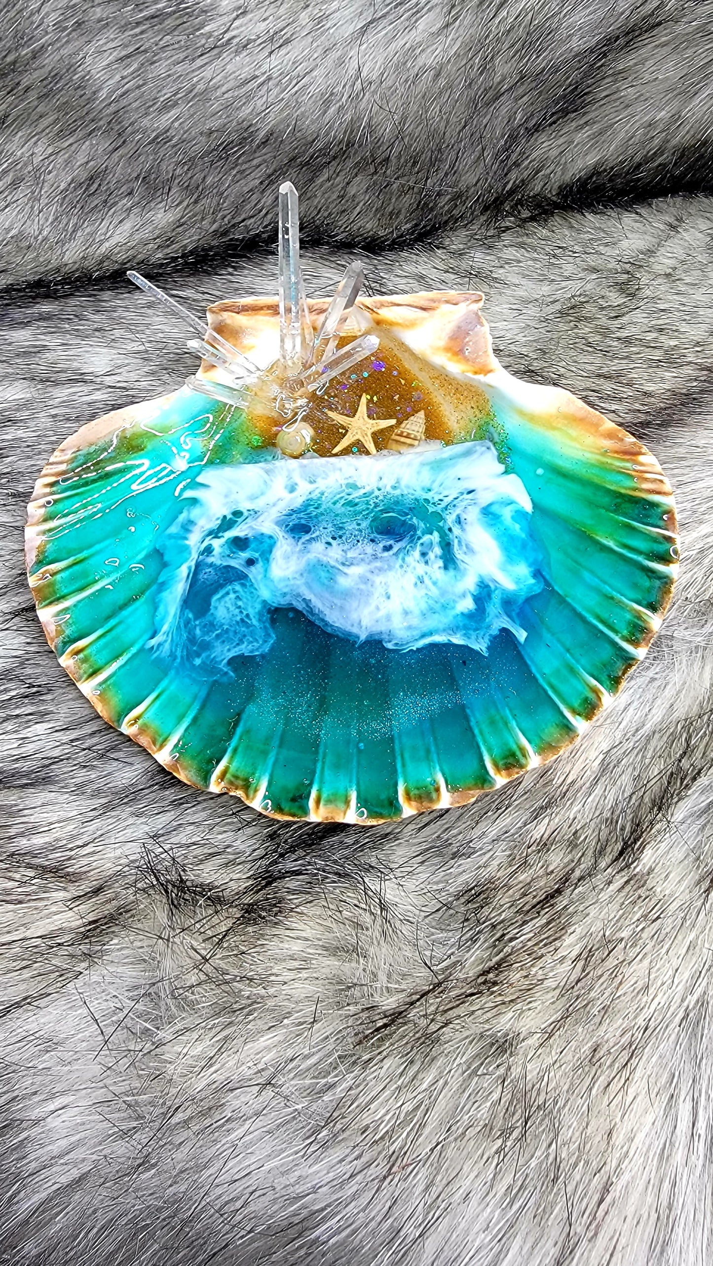 Sea shell ocean jewelry dish w/natural Lamarian quartz crystals