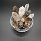 Smokey Quartz & Clear Quartz Topper (Pre Order)