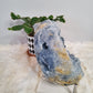 Large Blue Celestite geode