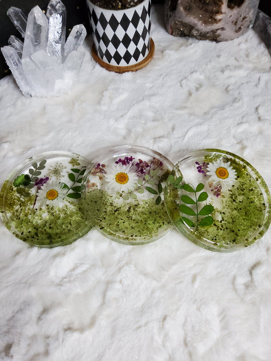 Peridot & Flowers Coasters (set of 3)